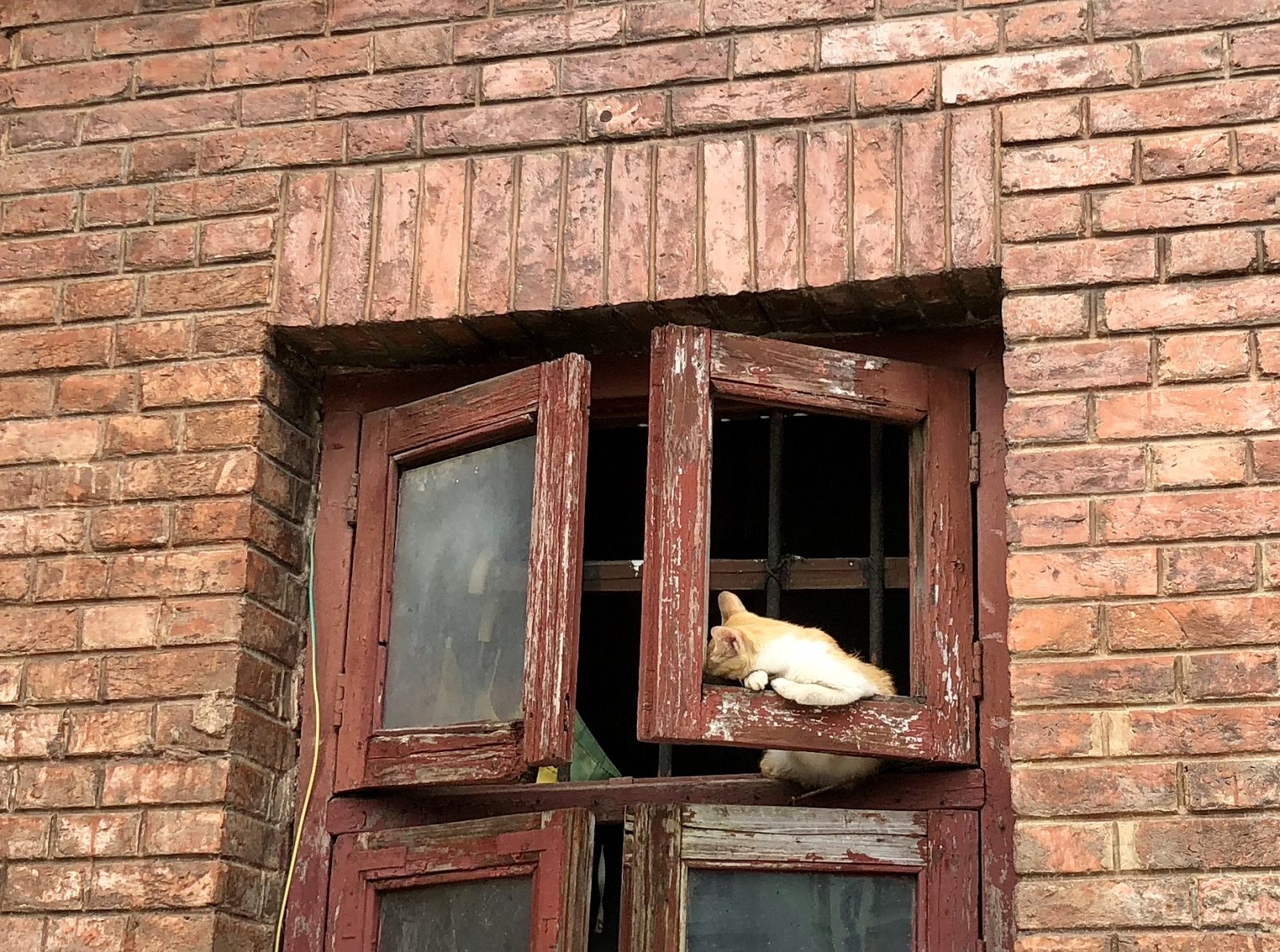 一扇旧窗