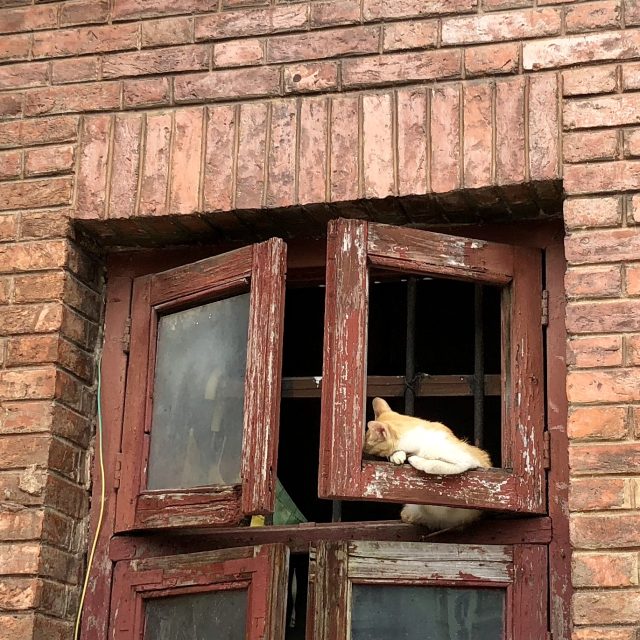 一扇旧窗