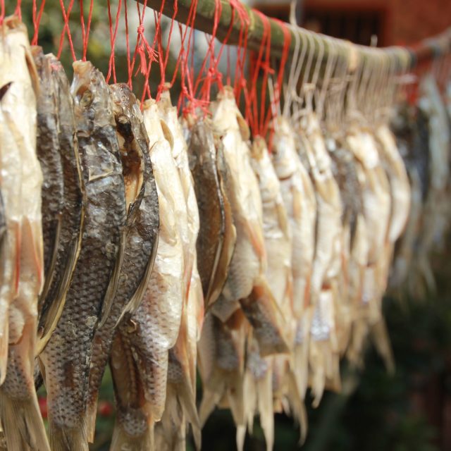 午后