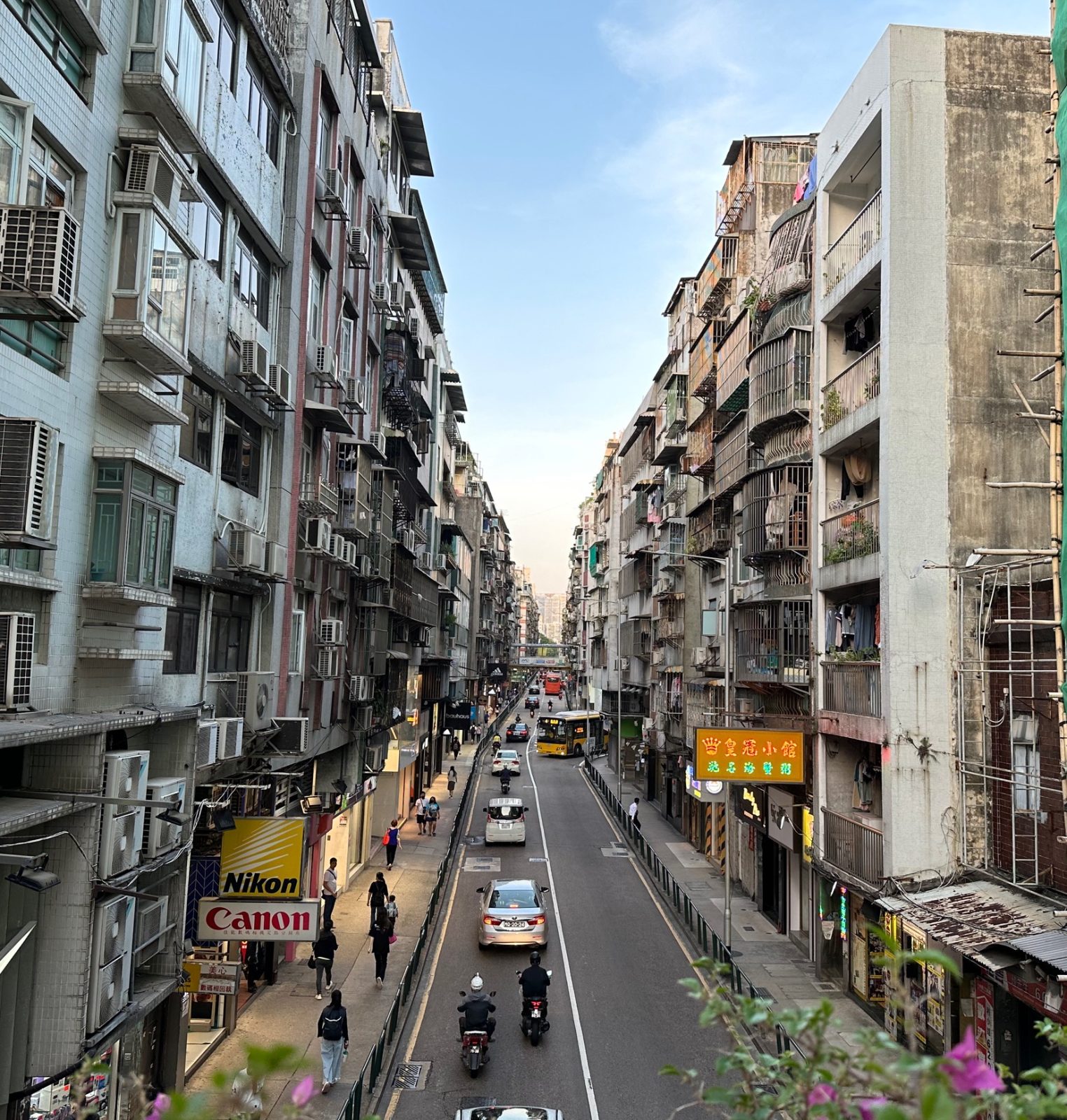 斜坡上的午后