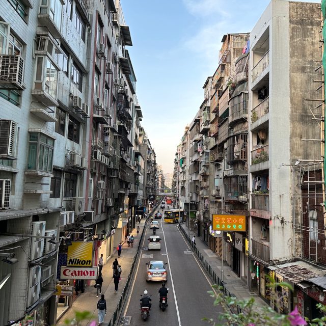 斜坡上的午后